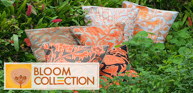 Shop the Bloom Collection